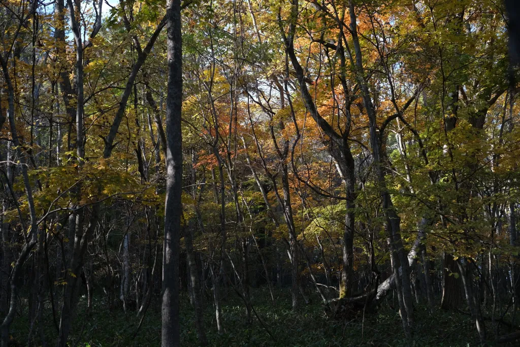 새 블로그로 이사했습니다.